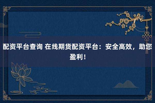 配资平台查询 在线期货配资平台：安全高效，助您盈利！