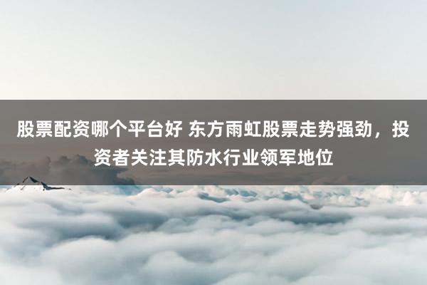 股票配资哪个平台好 东方雨虹股票走势强劲，投资者关注其防水行业领军地位