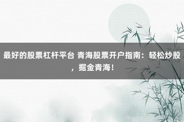 最好的股票杠杆平台 青海股票开户指南：轻松炒股，掘金青海！