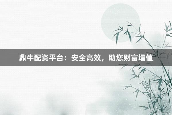 鼎牛配资平台：安全高效，助您财富增值