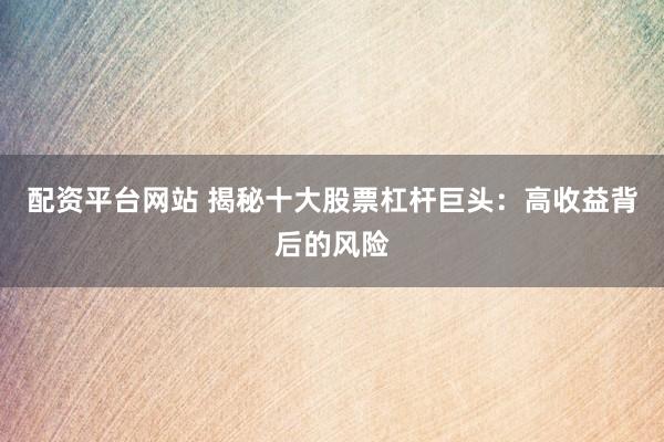 配资平台网站 揭秘十大股票杠杆巨头：高收益背后的风险