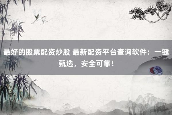 最好的股票配资炒股 最新配资平台查询软件：一键甄选，安全可靠！