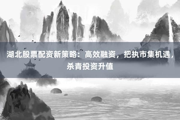 湖北股票配资新策略：高效融资，把执市集机遇，杀青投资升值