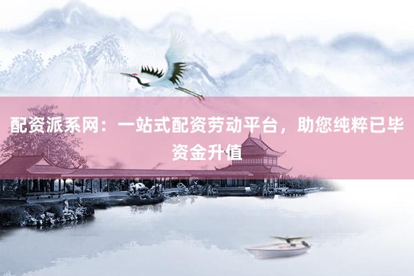 配资派系网：一站式配资劳动平台，助您纯粹已毕资金升值